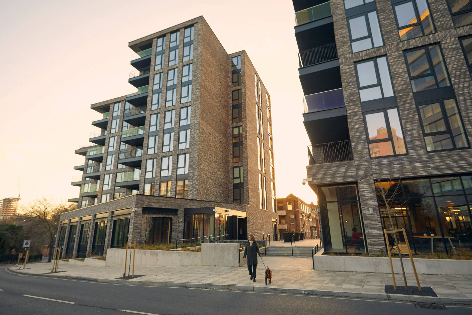 Mobirise Website Builder